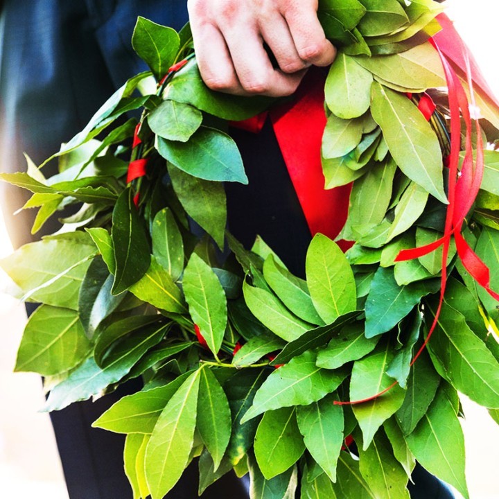 Hand holding a laurel wreath with red ribbon for graduation