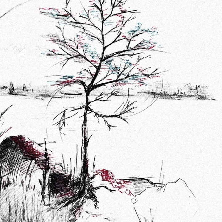 Minimalist pen illustration of a tree
